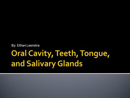 Oral Cavity, Teeth, Tongue, and Salivary Glands