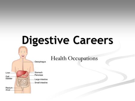 Digestive Careers Health Occupations.