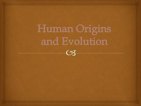   Probably first appeared about 200,000 years ago.  Paleoanthropologists study human evolution.  There is sparse evidence relating to the evolution.