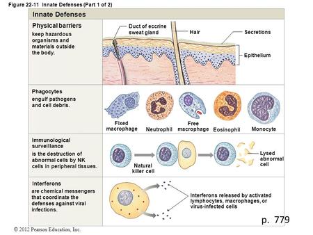 Figure Innate Defenses (Part 1 of 2)