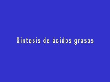 Glucógeno ↓↑ glucosa ↑ * aminoácidos ↓↑ proteínas ácidos grasos CO 2 + H 2 O * Leu y Lys.