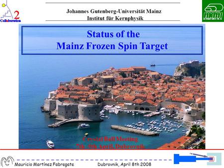 Mauricio Martínez Fabregate Dubrovnik, April 8th 2008 Crystal Ball Meeting 7th -9th April, Dubrovnik Status of the Mainz Frozen Spin Target Institut für.