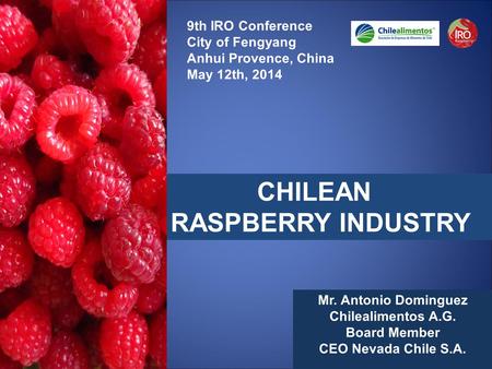 CHILEAN RASPBERRY INDUSTRY