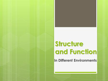 Structure and Function