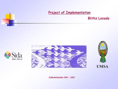 UMSA Project of Implementation Administration 2001 - 2003 Blithz Lozada.