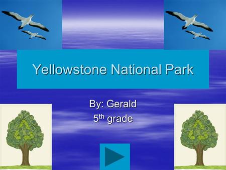 Yellowstone National Park By: Gerald 5 th grade Main Menu Facts: history & culture Nature & Science Things to do Facts: General Facts: Geology Facts: