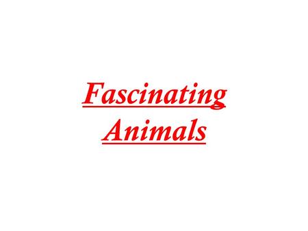 Fascinating Animals. People have just found a new generation of writers. I hope people enjoy these great pieces of writing. They have been finding animal.