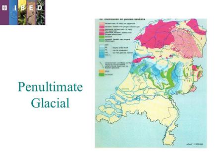 Penultimate Glacial. The last Glacial Holocene -Transition from open vegetation to deciduous forest -Transformation of forest to open land (heath, shrubs,