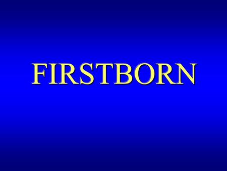 FIRSTBORN. God’s Promises to Abraham Great Nation Great Nation Inheritance Inheritance Through seed all nations blessed Through seed all nations blessed.