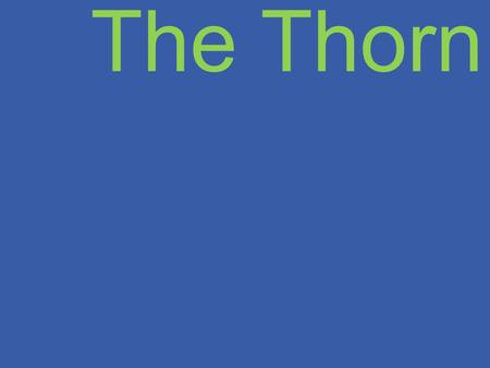 The Thorn. We all have something we are constantly tempted or struggling with 1 Peter 5:8 Be of sober spirit, be on the alert. Your adversary, the devil,