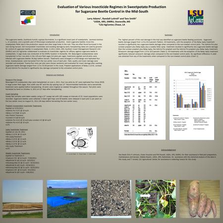 Evaluation of Various Insecticide Regimes in Sweetpotato Production for Sugarcane Beetle Control in the Mid-South Larry Adams 1, Randall Luttrell 1 and.