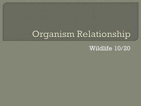 Wildlife 10/20.  Symbiosis is the close and often long lasting relationship that exists between two biologically different species.