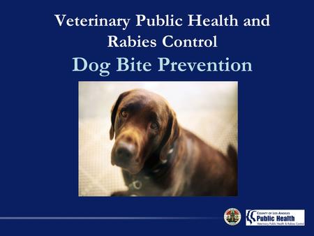 Veterinary Public Health and Rabies Control Dog Bite Prevention