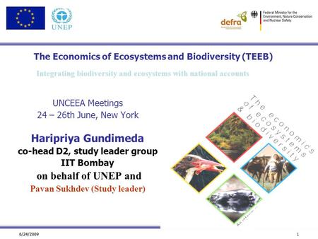 6/24/2009 1 The Economics of Ecosystems and Biodiversity (TEEB) UNCEEA Meetings 24 – 26th June, New York Haripriya Gundimeda co-head D2, study leader group.