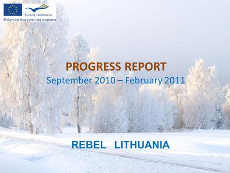 PROGRESS REPORT September 2010 – February 2011 REBEL LITHUANIA.