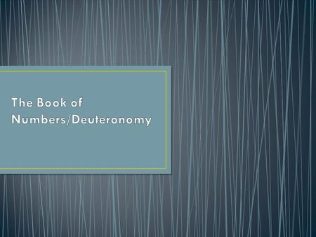 The book of Numbers continues the story that began in Exodus It describes the experiences of the Israelites during their encampment at Sinai to the arrival.