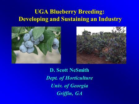 UGA Blueberry Breeding: Developing and Sustaining an Industry