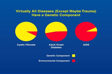 COOL THINGS ABOUT THE GENOME Humans have fewer genes than expected Human genes make more proteins than those of other critters Humans have adopted 200.