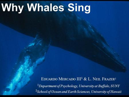 E DUARDO M ERCADO III 1 & L. N EIL F RAZER 2 1 Department of Psychology, University at Buffalo, SUNY 2 School of Ocean and Earth Sciences, University of.