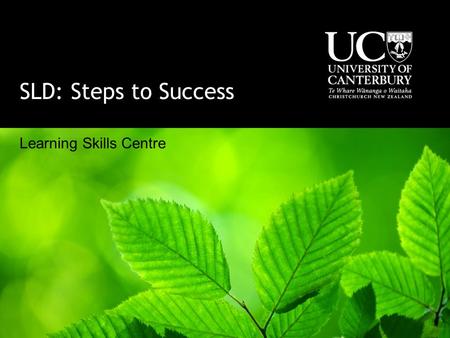 SLD: Steps to Success Learning Skills Centre. Dr. Ross Cooper: Learning Styles Interactive Diagnostic Screening The programme is built on the principles.