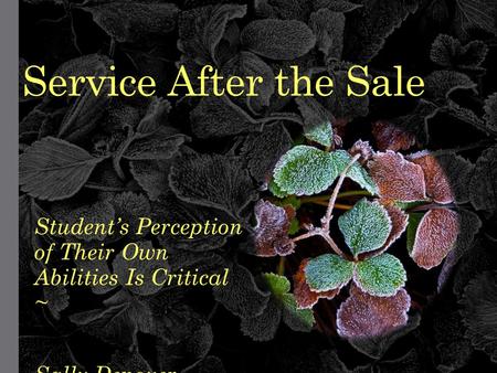 Service After the Sale Student’s Perception of Their Own Abilities Is Critical ~ Sally Denoyer.