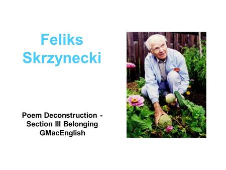 Feliks Skrzynecki Poem Deconstruction - Section III Belonging