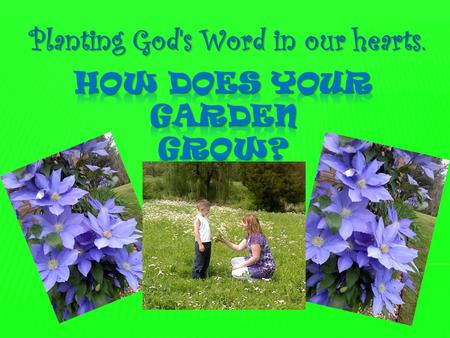 How Does Your Garden Grow?