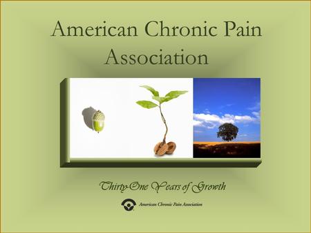 Thirty-One Years of Growth American Chronic Pain Association.