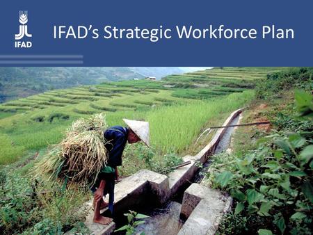 IFAD’s Strategic Workforce Plan. The SWP in IFAD’s planning and performance management system The SWP is IFAD’s first exercise in planning human resources.