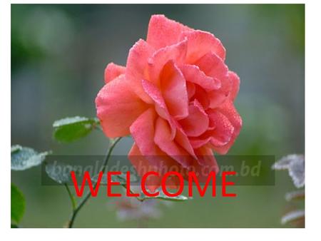 WELCOME. MOHAMMAD SHAHZAMAN TEACHER BATAKANDI S.S.A.A.H.M.H.SCHOOL  address: Mobile Number: MOHAMMAD SHAHZAMAN.