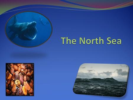 Geography The North Sea- shelf sea placed between: Denmark, Switzerland, Norway, British Isles, Germany Belgium, Netherlands and France. It is connected.