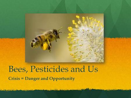 Bees, Pesticides and Us Crisis = Danger and Opportunity.