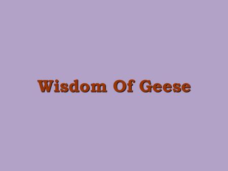 Wisdom Of Geese. When we see geese heading south for the winter flying along in the V formation, a thought comes – why do they fly that way ? It has.