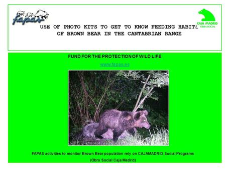 FUND FOR THE PROTECTION OF WILD LIFE www.fapas.es USE OF PHOTO KITS TO GET TO KNOW FEEDING HABITS OF BROWN BEAR IN THE CANTABRIAN RANGE FAPAS activities.