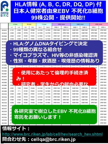 HLA 情報 (A, B, C, DR, DQ, DP) 付 日本人健常者由来 EBV 不死化 B 細胞 99 株公開・提供開始 !! A locusB locusC locusDRB1 locusDQB1 locusDPB1 locus A-1A-2B-1B-2Cw-1Cw-2DRB1-1DRB1-2DQB1-1DQB1-2DPB1-1DPB1-2.