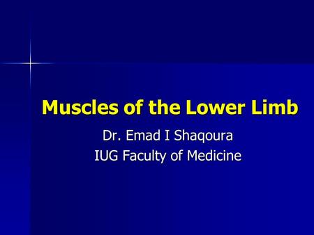 Muscles of the Lower Limb