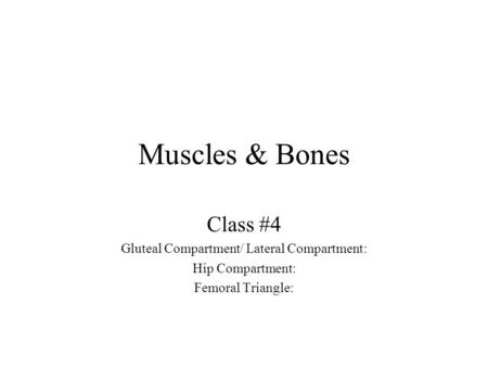 Gluteal Compartment/ Lateral Compartment: