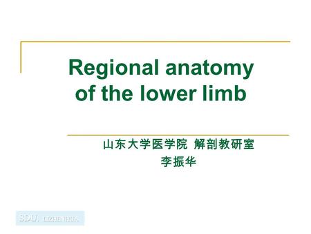 Regional anatomy of the lower limb