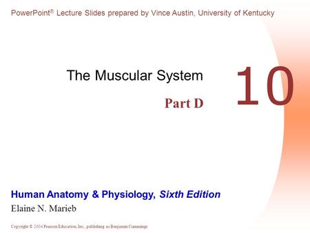 The Muscular System Part D