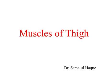 Muscles of Thigh Dr. Sama ul Haque.