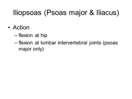 Iliopsoas (Psoas major & Iliacus)