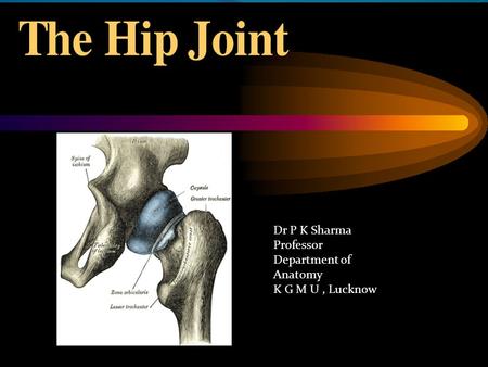Dr P K Sharma Professor Department of Anatomy K G M U , Lucknow.