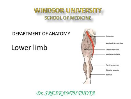 WINDSOR UNIVERSITY SCHOOL OF MEDICINE