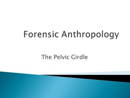 Forensic Anthropology