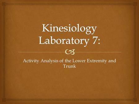 Activity Analysis of the Lower Extremity and Trunk.