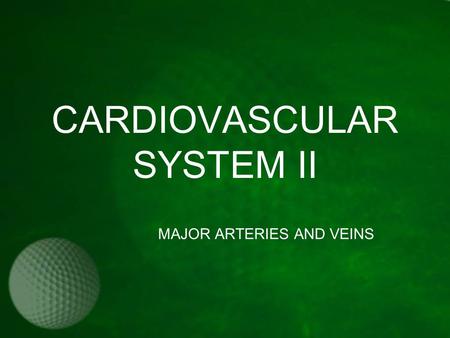 CARDIOVASCULAR SYSTEM II