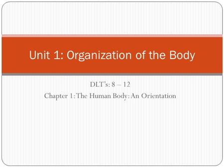 Unit 1: Organization of the Body