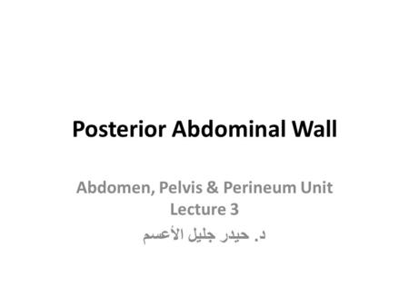 Posterior Abdominal Wall