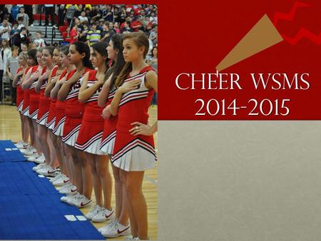 CHEER WSMS 2014-2015.