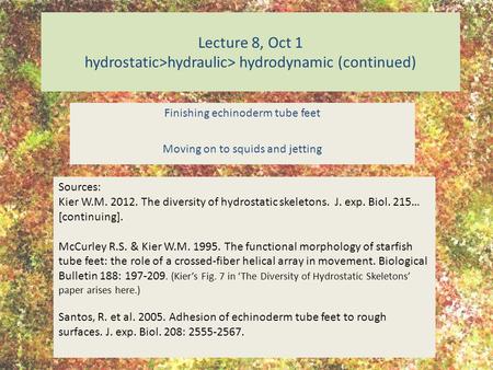 Lecture 8, Oct 1 hydrostatic>hydraulic> hydrodynamic (continued) Finishing echinoderm tube feet Moving on to squids and jetting Sources: Kier W.M. 2012.